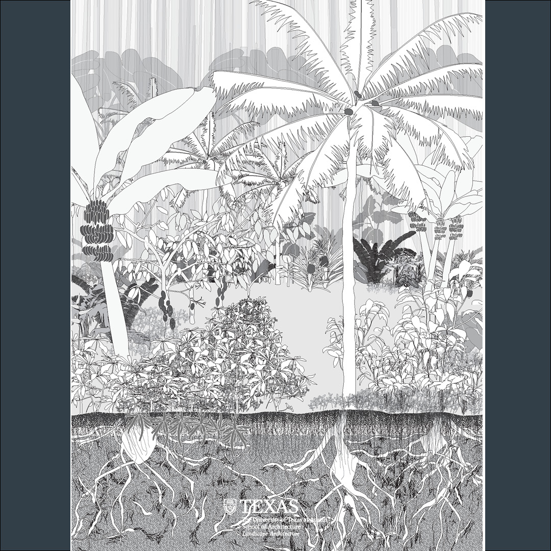 texas_landscape's tweet photo. Join us at the @UTSOA Open House for Admitted Students on March 26th. Documenting Amazonian Kichwa Chakra Agroforestry Studio 2 research module globally important agricultural heritage systems (GIAHS). Work by the #LandscapeArchitecture and CRP student F Kyle w Professor Lickwar. https://t.co/dZU1I3v1cr