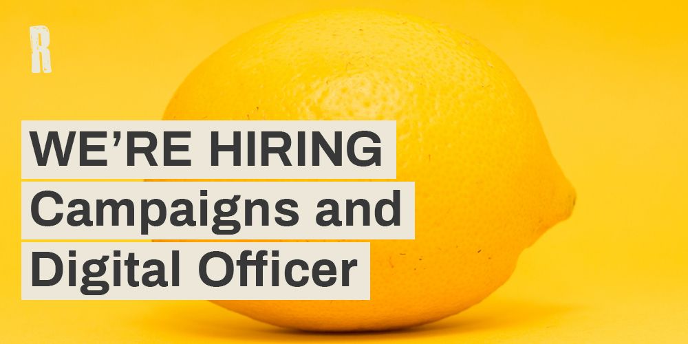 Reprieve's tweet photo. Our campaigns team is growing!
#charityjobs #mobjob #campaigning #digital
Everything else you need to know is here. ๐๐ฟ
https://t.co/efVLxS02Fo https://t.co/gODLAeaWak