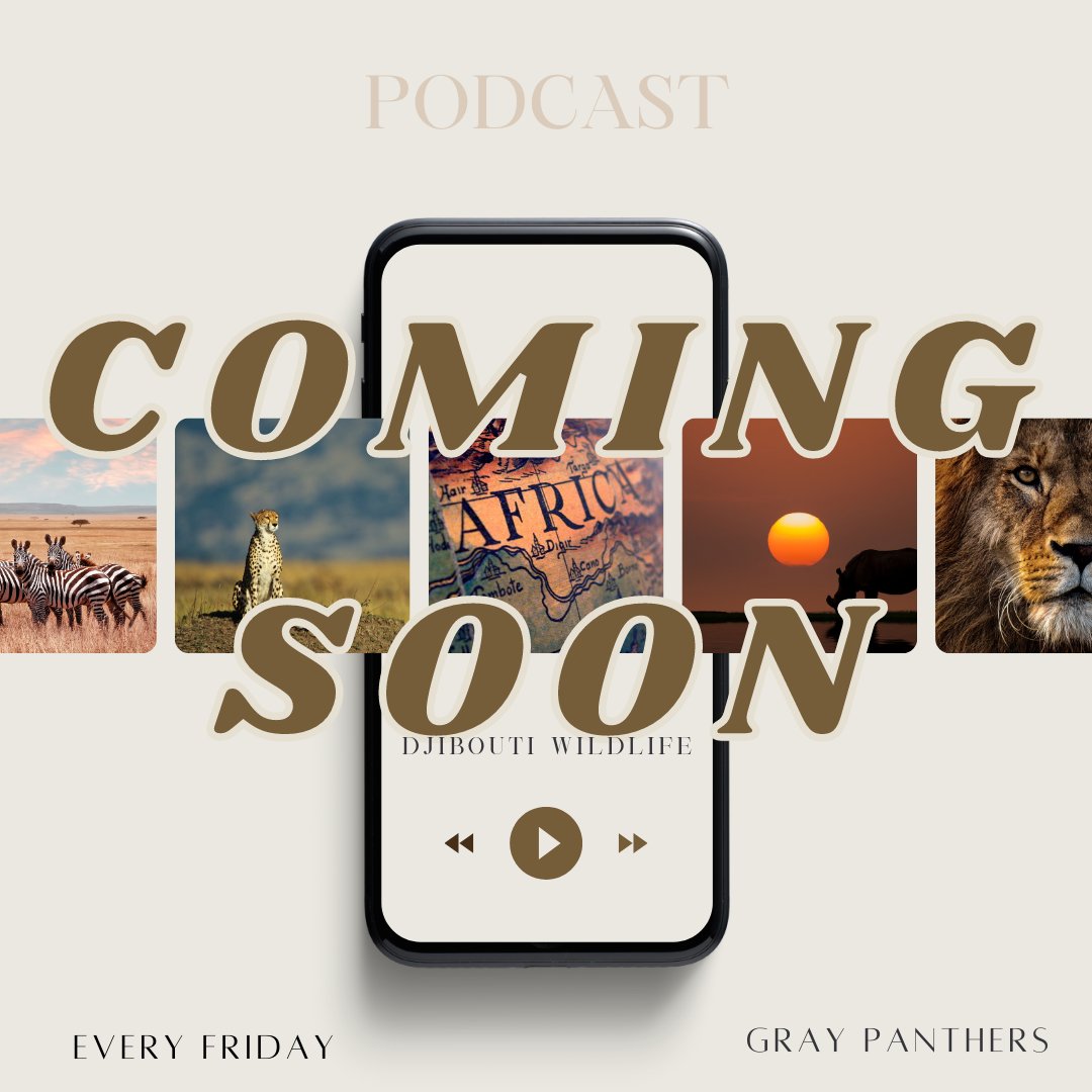 gray_panthers's tweet photo. Coming this Friday! Coming soon from Gray Panthers.
Every Friday
At 9pm
Weekly Podcast <3
#savewildlife #thinkabouttomorrow #animalrights #preservethenature
#letthepathersbegin
#socproject2021
#graypanthers https://t.co/0ea3ccL0u9