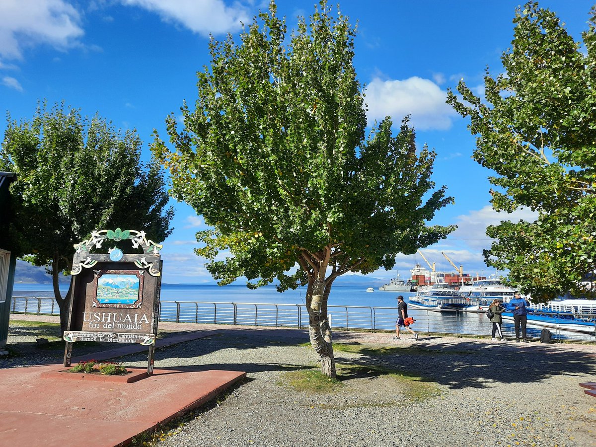 TurismoTDF's tweet photo. Ushuaia, primer día del otoño con 14° C #Ushuaia #OtoñoDelFuego #TierraDelFuego #FinDelMundo https://t.co/5QCNCIOXKe