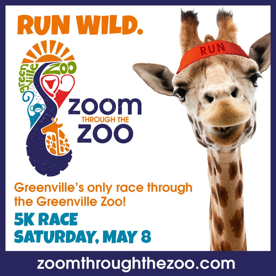 Join us for Zoom Through the Zoo, Saturday, May 8. Zoom Through the Zoo is Greenville's only race with a loop through the Greenville Zoo and is a Greenville Track Club Corporate Shield race.  Registration is limited, so register early! 
Register at: runsignup.com/Race/SC/Greenv…