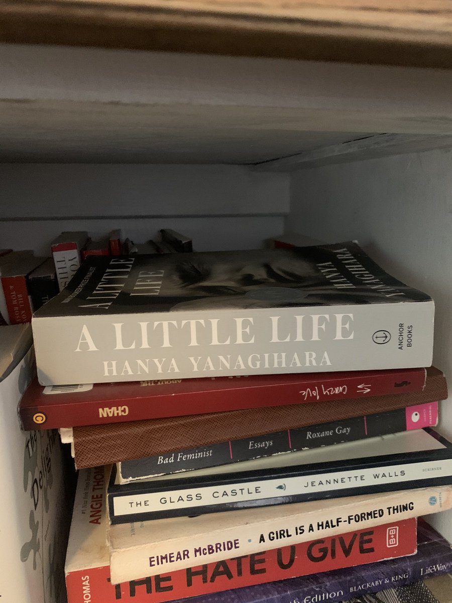 aubshutson's tweet photo. A Little Life by Hanya Yanagihara — (finished in Jan, so am remembering...) was impressed with her ability to encapsulate the affect of trauma. 4/5⭐️ https://t.co/LXIZ74HRIR