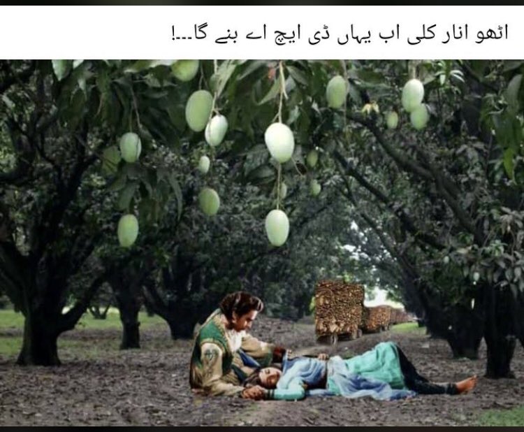 Ali707khan's tweet image. قتلِ آم “سرِعام” ہورہا ہے  
#DHA 
#BillionTree