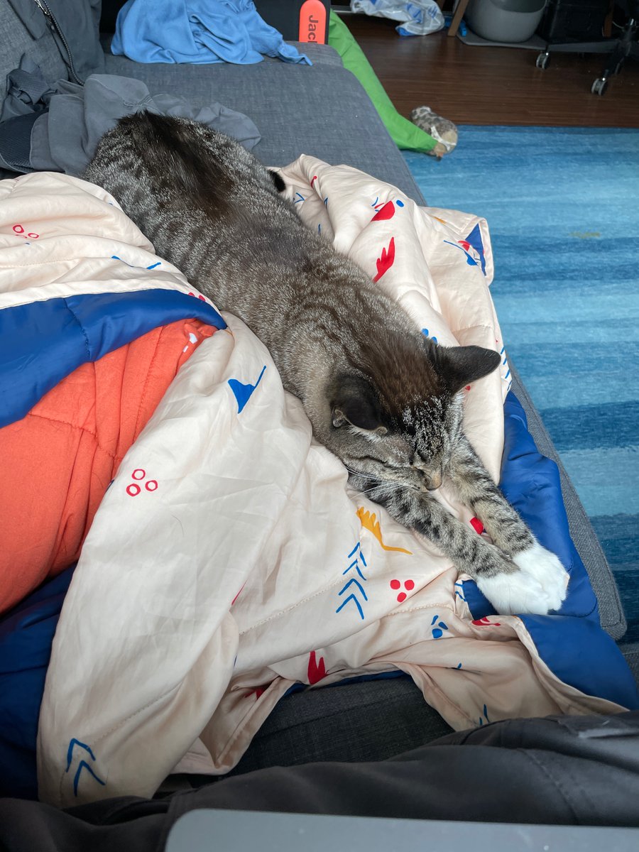 Evoxalien's tweet photo. Just a regular Monday I’m this household https://t.co/FpCjxO2pDM