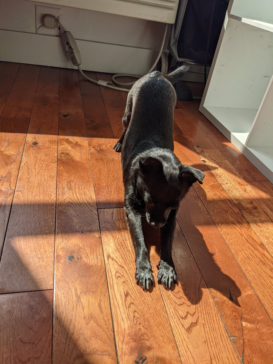 WarrenFYGP tweet media