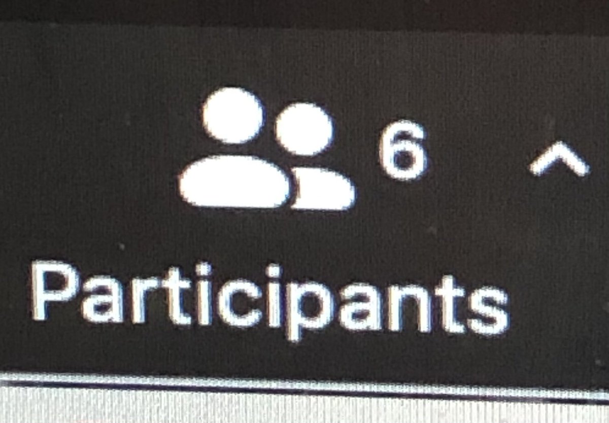 ICE21_Group22's tweet photo. When you actually choose to attend your BU elective during #LazaridisICEWinter21 ... https://t.co/3cU0iT6V0C