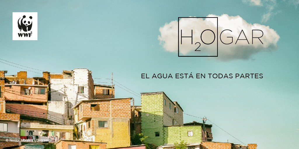 pattyErcole's tweet photo. Cuidar el agua y saber utilizarla , no desperdiciarla es responsabilidad de todos . Es nuestra vida y la del planeta #DiaMundialDelAgua @WWFColombia #aH2ora https://t.co/V3dp3au5ds