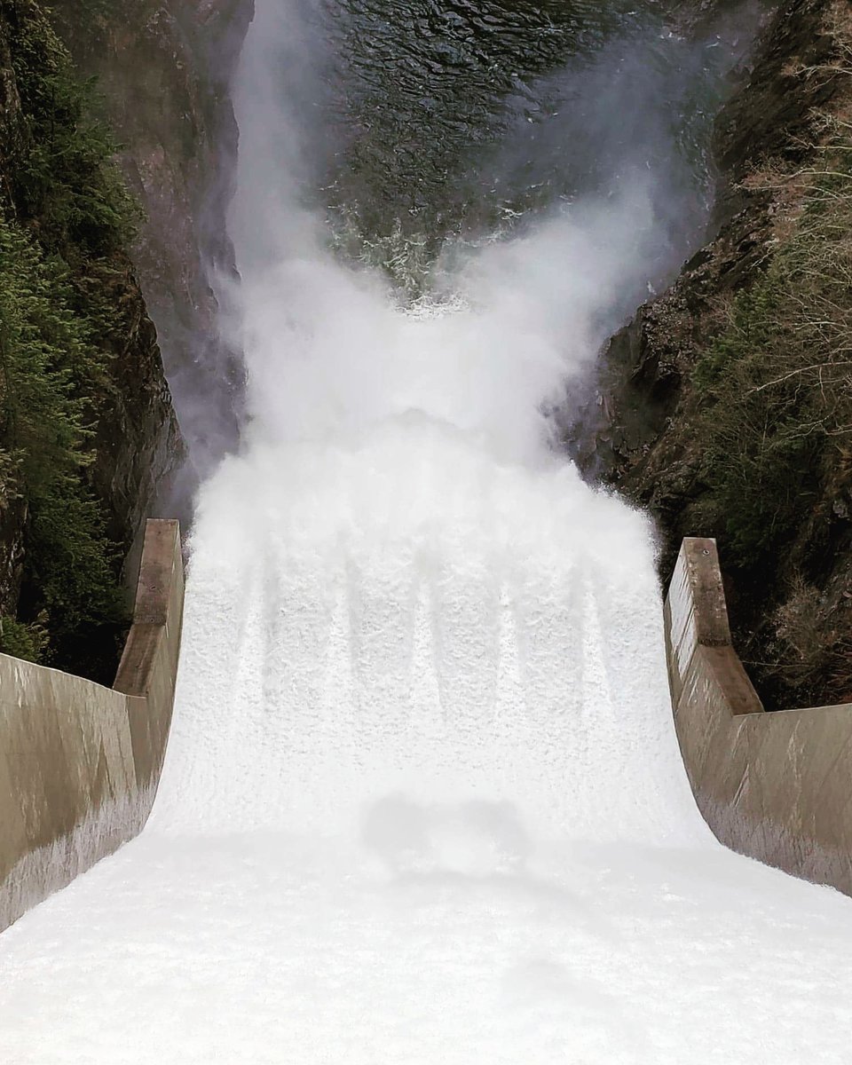 CoachM2Inspire's tweet photo. Happy #worldwaterday ! It's #adaytoremember how #important #water is and #raiseawareness of the #global #watercrisis 🌍 This is #beautiful #clevelanddam in #northvancouverbc 🏞  #waterislife #preserve #watercolour #clevelandpark https://t.co/L0cjx1eEtl