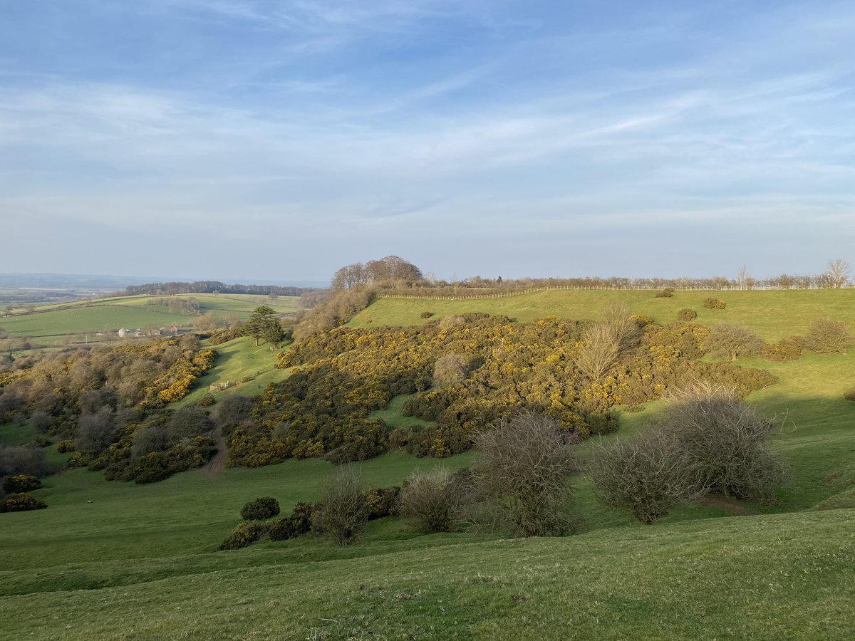 Burrough Hill tweet media