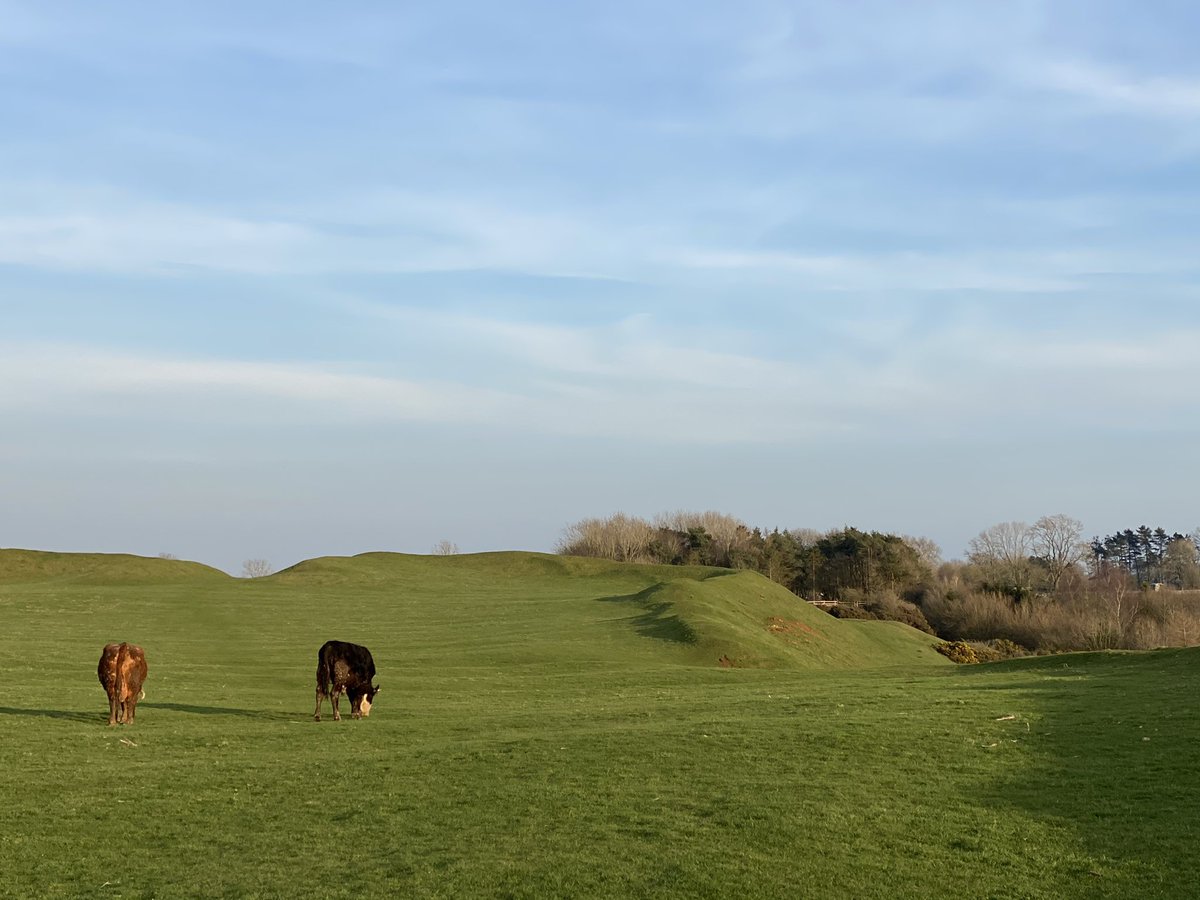 Burrough Hill tweet media