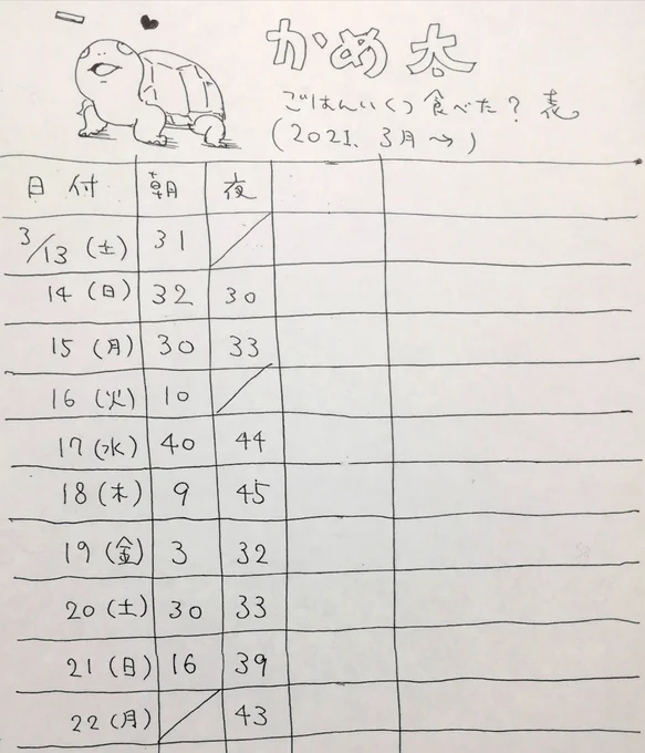 ?が朝と夜にごはんを何個食べたかを表につけてる 特に意味はないけど病気とか体調不良になった時参考になるかなぁと思って?
大体30～40個前後食べるけど数個しか食べない日とか全く食べない日(斜線)とかあって面白い 食欲わかない日だってあるよね どうぶつだもの ?

#クサガメ #かめ太 
