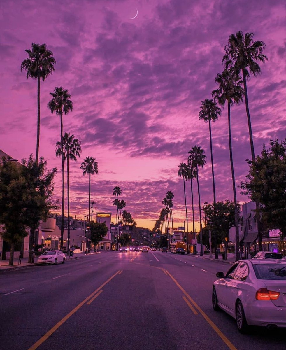 INTERIOR PORN tweet media
