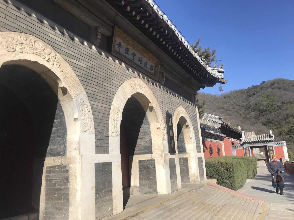 xiaozucca's tweet image. 