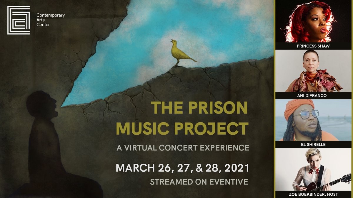 ani difranco tweet media