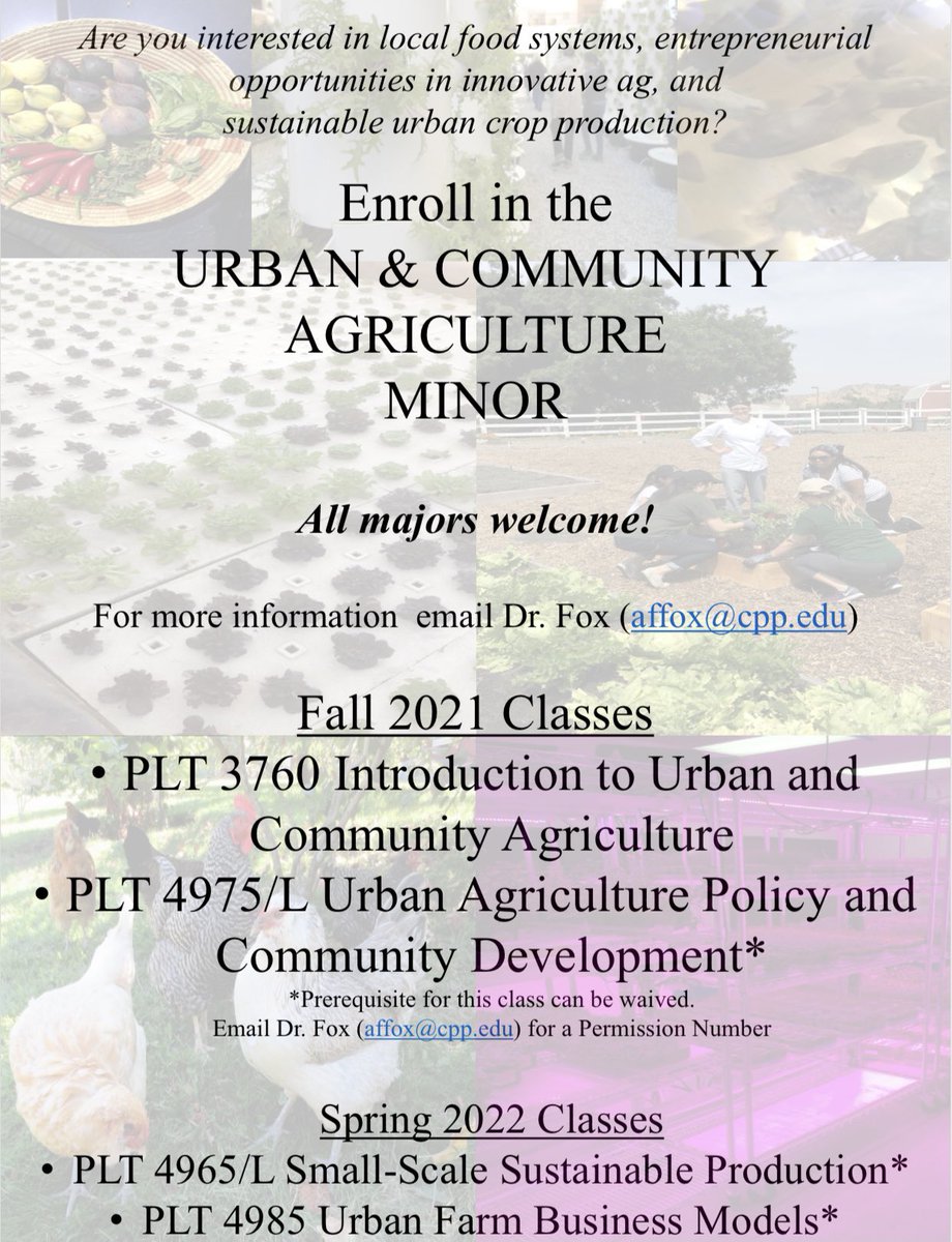 CPP CBA Student Success Center tweet media