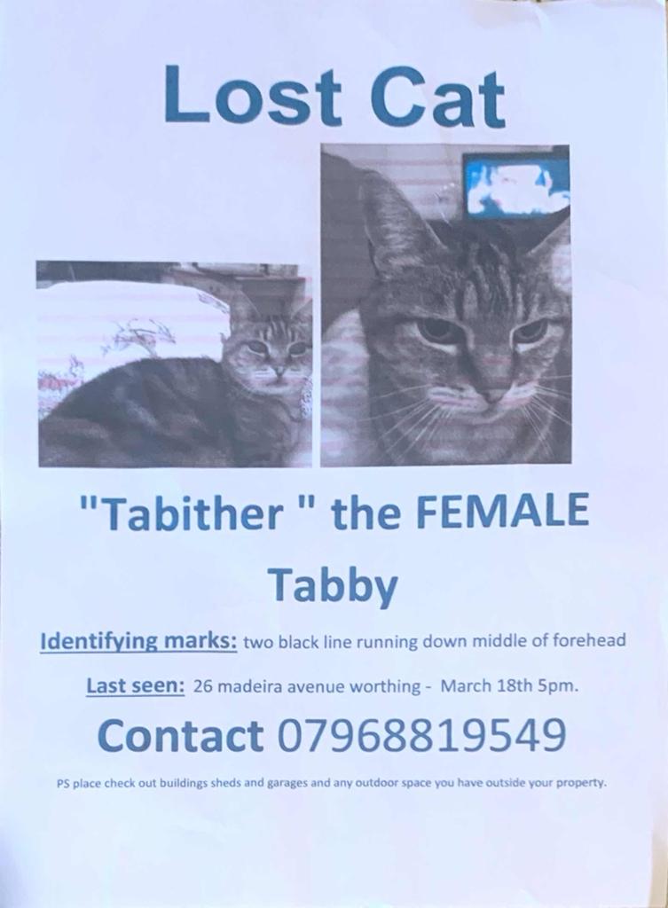 cushionpen8's tweet photo. @SAMPAuk_ Still missing my tabby love her to pieces please retweet to get her found went miss 18th March after 5pm https://t.co/5k2ZhL5qkn