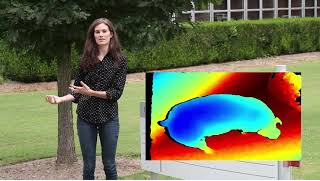 NCState_BAE's tweet photo. Interested in working at the interface of computer science with food, agricultural and biological systems? Learn more about #MachineLearning and @NCState_BAE from @SierraNYoung in this short video:  https://t.co/B7dJxFVjqL #GoBAEPack https://t.co/4bfL9kXGEG