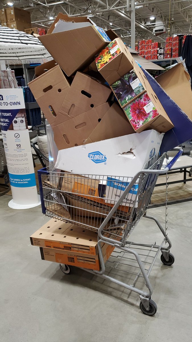 Cardboard challenge 2537!