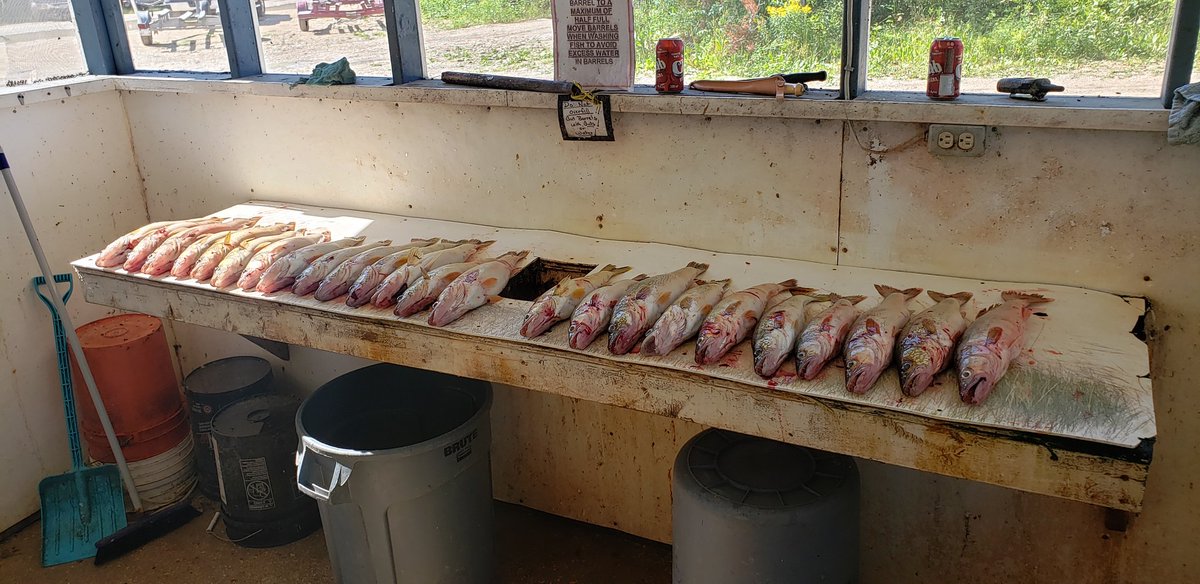 RandySuderman's tweet photo. @Bayer4CropsCA
#GetBackToWhatYouLoveGiveaway
 Get back to the lake. https://t.co/24n5XI21Ko