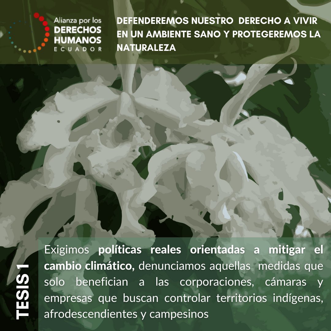 SurkunaEc's tweet photo. TESIS 1 | Exigimos a @LassoGuillermo y @ecuarauz se pronuncien y #CompromisoYA a proteger y respetar los derechos de la naturaleza, la justicia intergeneracional y el derecho de todas y todos al agua y a un ambiente sano.
🔴 Declaración completa: https://t.co/SAbMxS4FTO https://t.co/FVSQqI8rcT