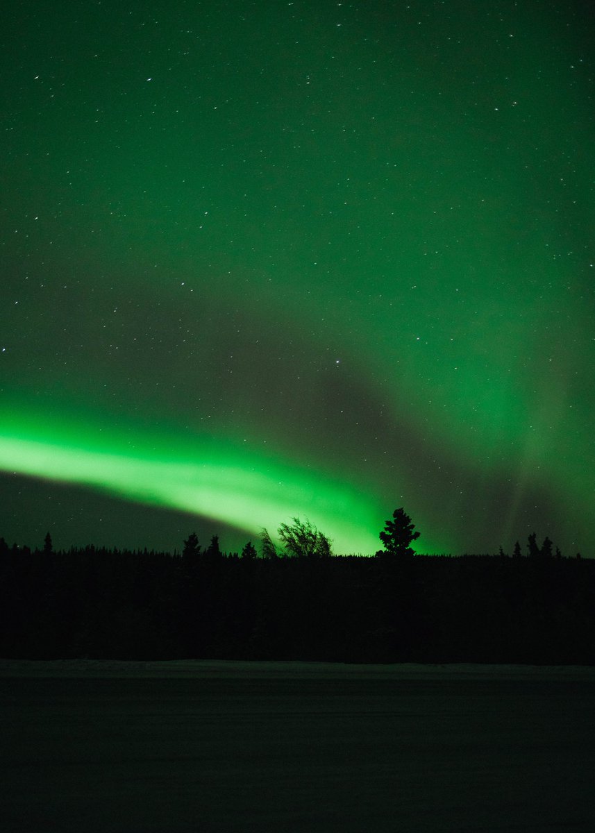 collinjamesdunn's tweet photo. aurora nights https://t.co/U1jfNvRA4y