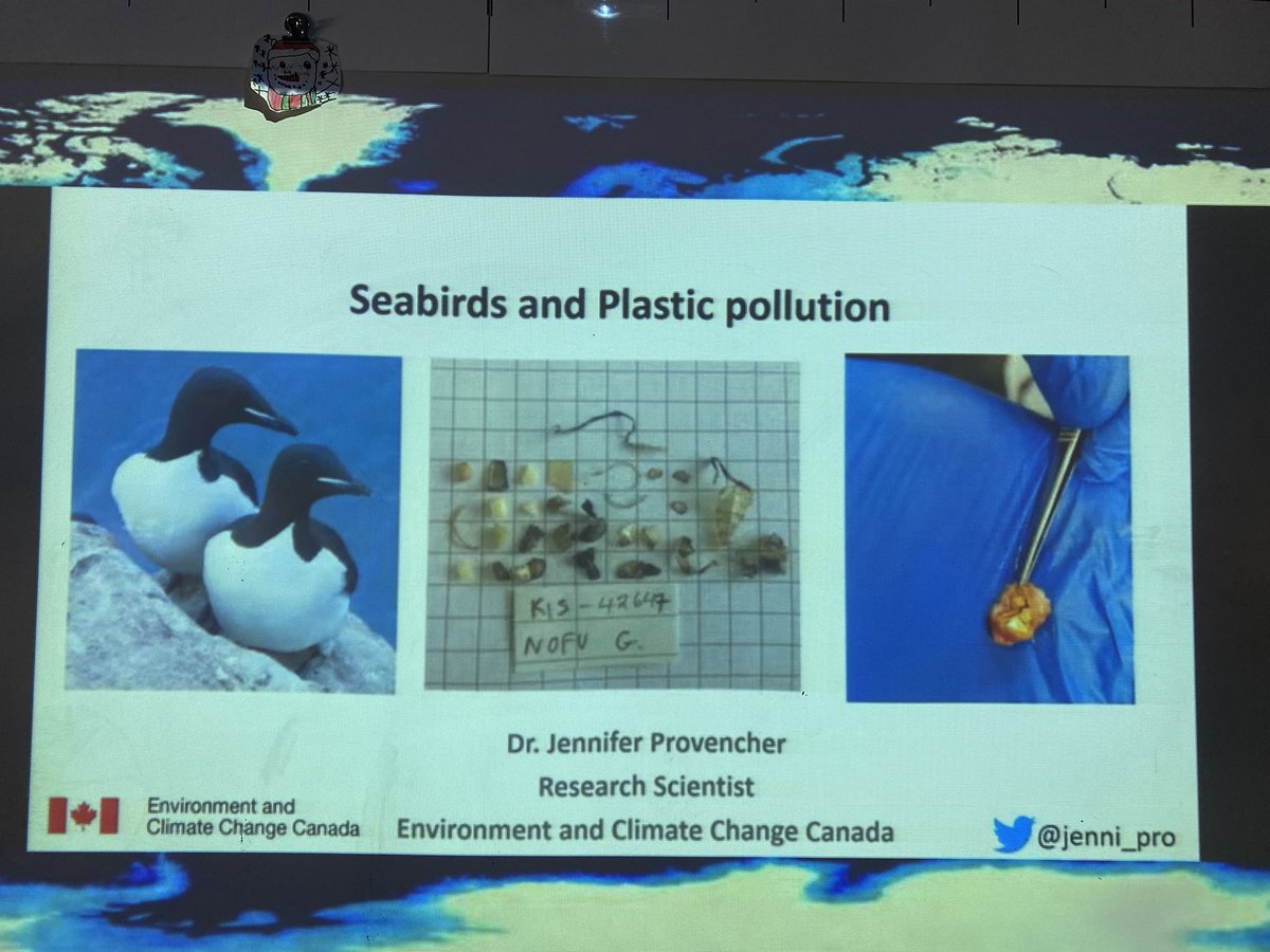 MsSkipwithLearn's tweet photo. We had so much fun learning from Jennifer Provencher this morning about the dangerous effects plastic has on the birds in our communities! We worked on thinking and asking meaningful questions while listening to her live presentation @EBTSOYP #ldscb #grade4 https://t.co/Ec51UGfUk2