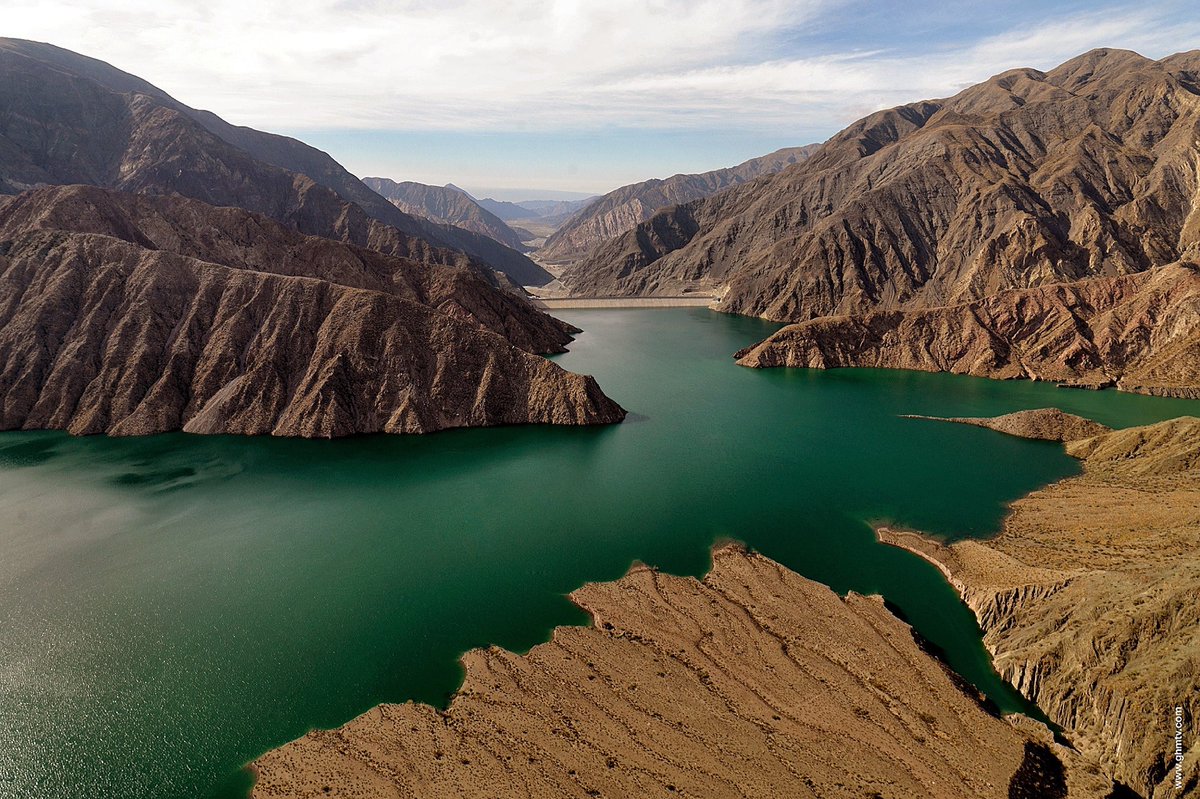 Panedile tweet media