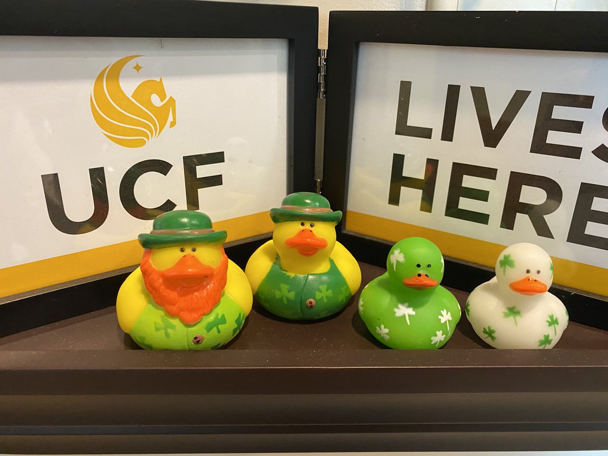 UCFHousing's tweet photo. 🎁 Duck giveaway 🎁

Missed your chance to get a duck last week? Here's another! To enter:

1️⃣ Follow @ucfhousing &amp; @RHAUCF 
2️⃣ RSVP for Fresh Check Day below
3️⃣ Attend Fresh Check Day tomorrow where RHA will be drawing 10 winners. Must be present to win!

https://t.co/Pbp5aDC2lF https://t.co/mw66vW5bMr