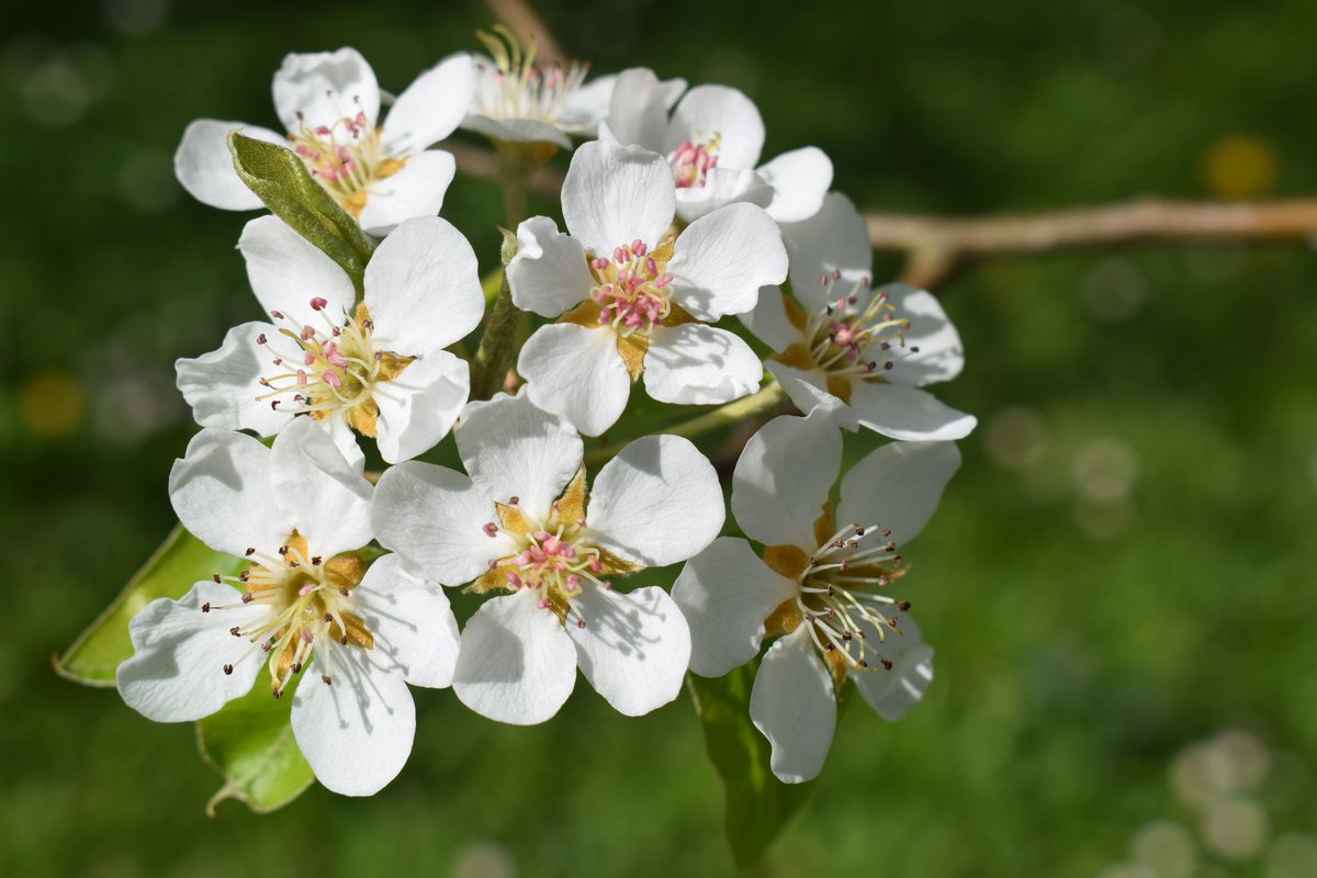 Ea gu ere loretzen garen