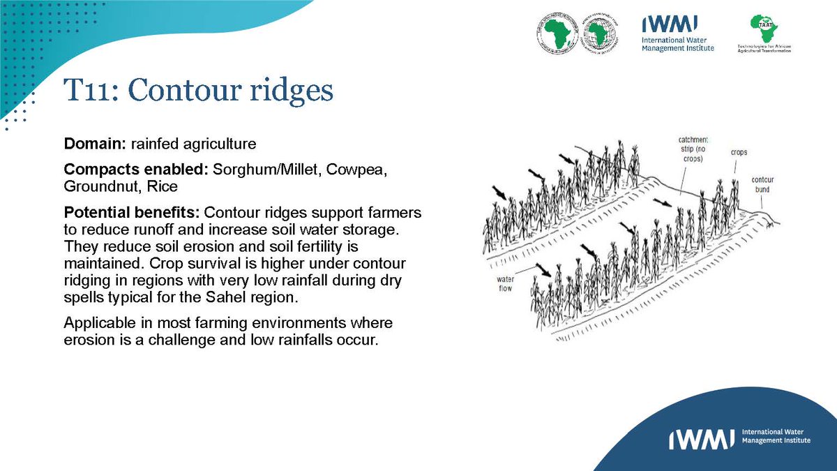 Taat_Africa's tweet photo. #worldwaterday2021 #ValuingWater #Water2me #CatchTheRain Contour ridges support farmers to reduce runoff &amp; increase soil #water storage. They reduce soil erosion and soil fertility is maintained. Crop survival is higher under contour @AfDB_Group @IWMI_ @IFDCnews @IcrisatW @ICARDA https://t.co/JdIIrxTDuS