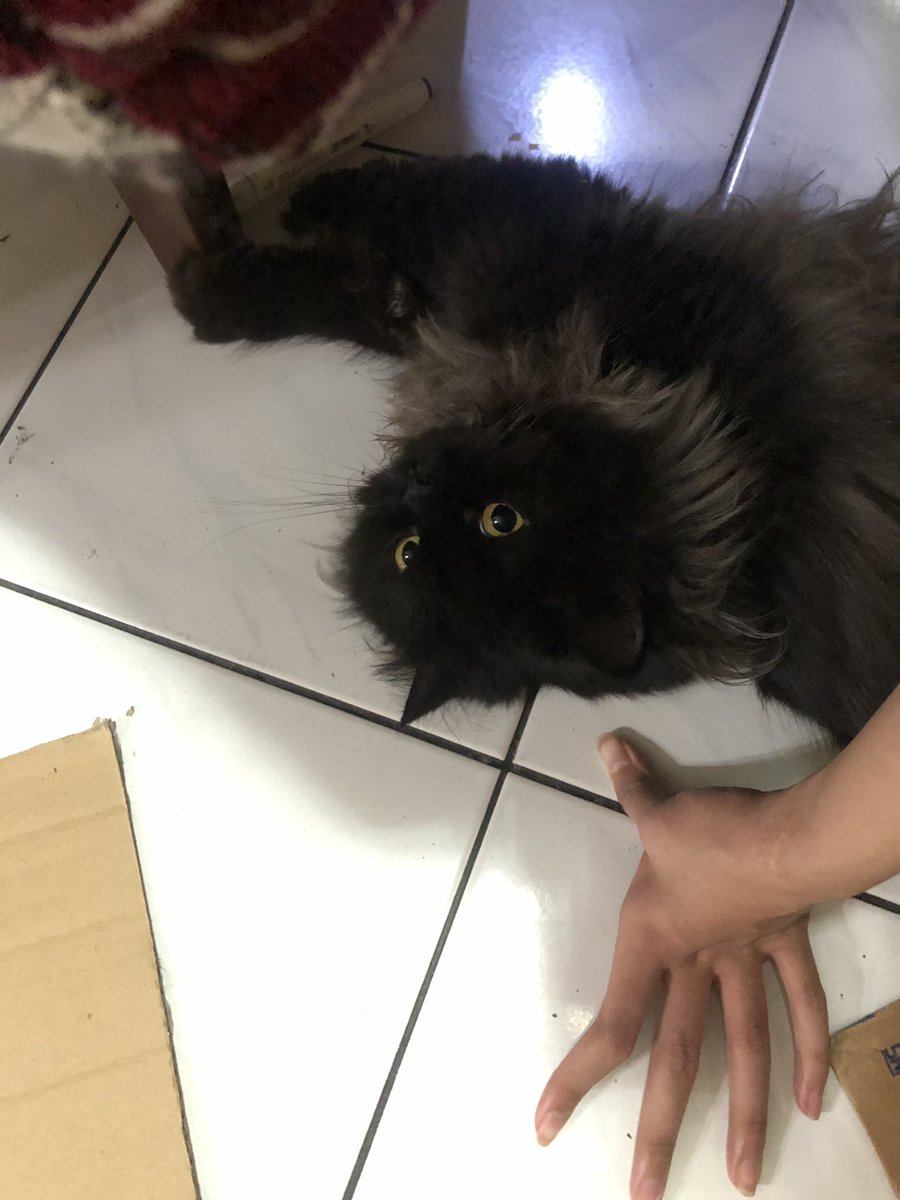 alzenaaaa's tweet photo. Nama panjangnya owel fendi terawan🥰 https://t.co/9P8XJaw92C