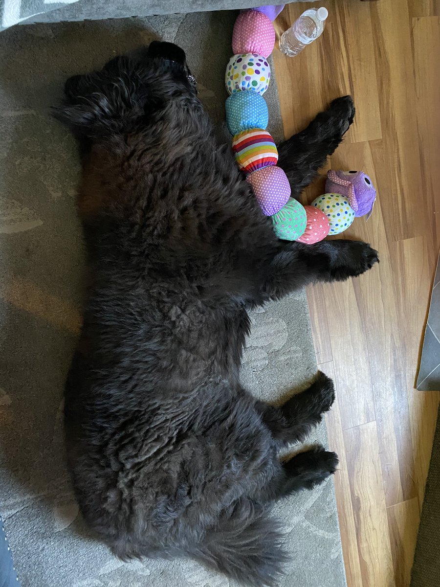 Anthony B tweet media