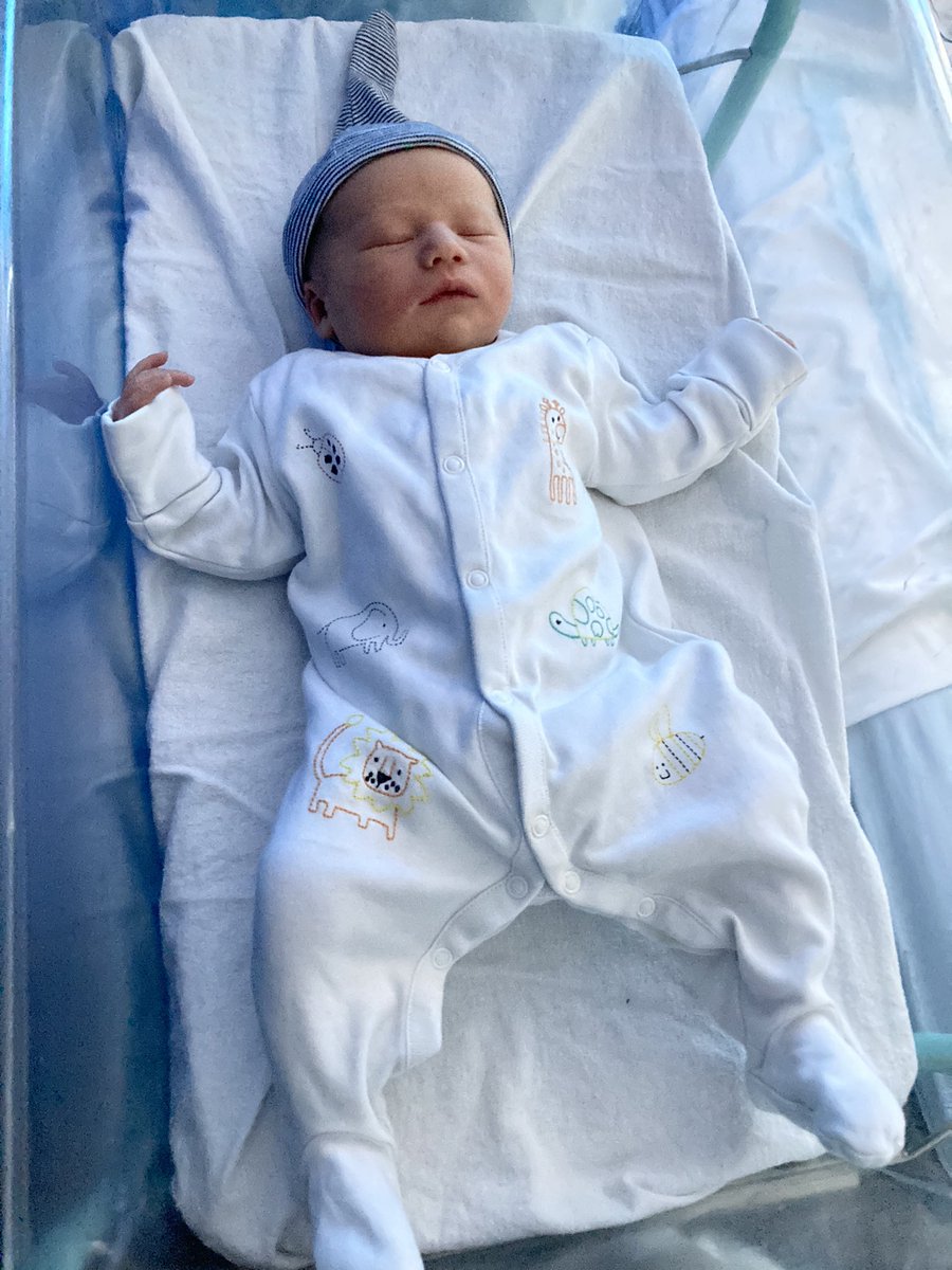 Katie Jacobs tweet media