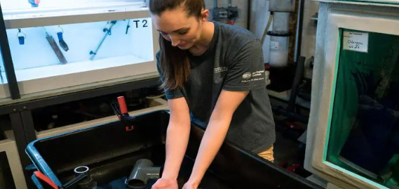 Sea Save Foundation tweet media