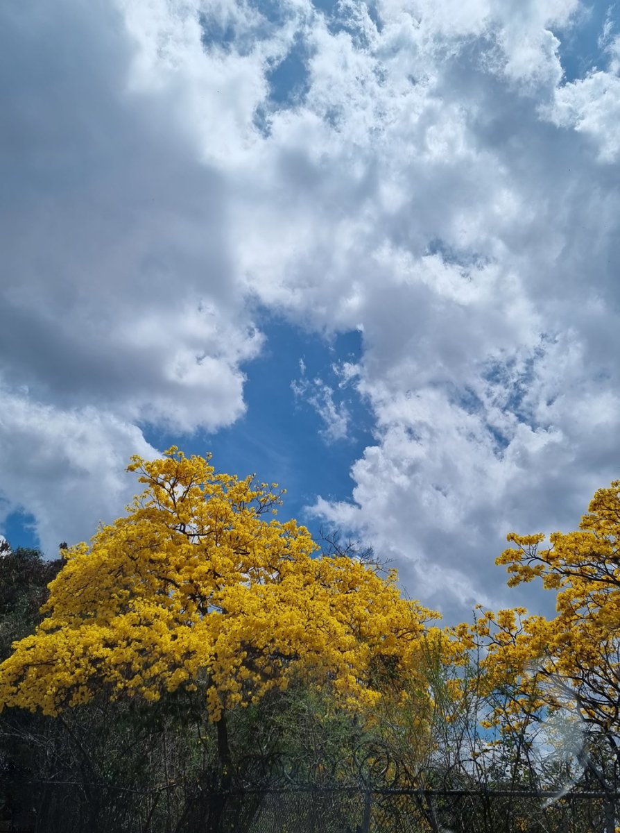 Hecham Alhadwa tweet media