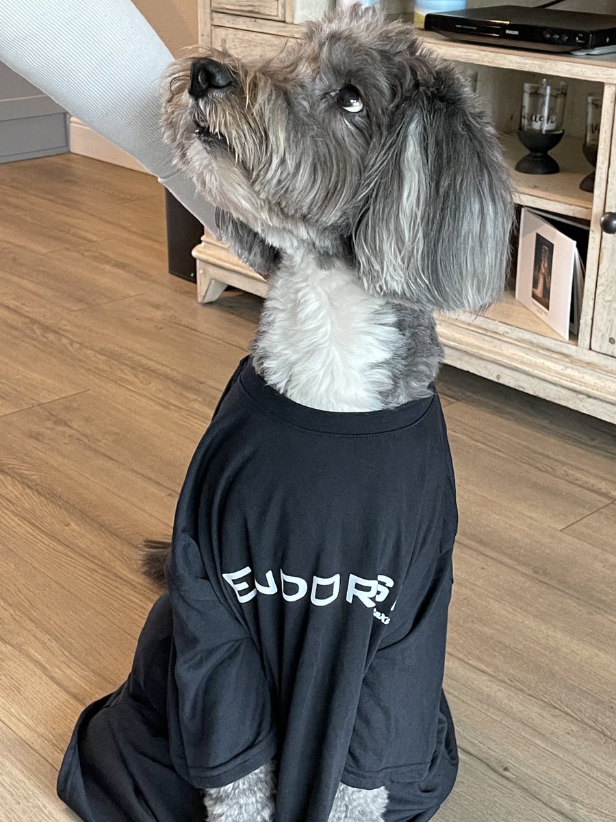 RichardKoch4's tweet image. #DataXstream #endorsed Cooper supports OMS+ by DataXstream.  Endorsed by SAP