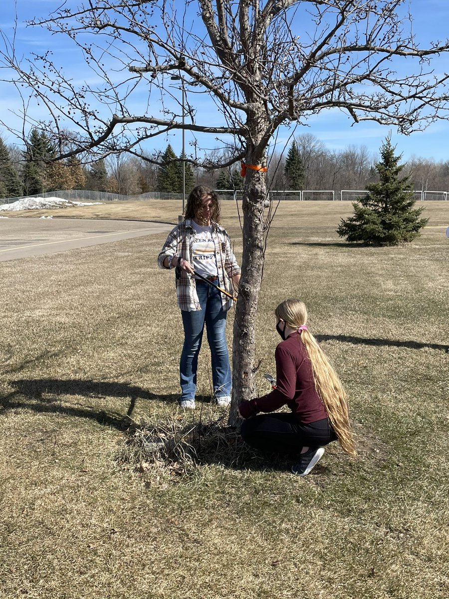 ForestLakeMS's tweet photo. Today is Mr. Parke’s Adventures in Agriculture class students learned and practiced the finer details of pruning and how to care for our landscaping. https://t.co/qEUHbE19og