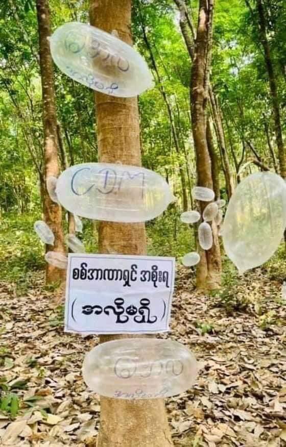 MiZarNi7's tweet photo. သထုံက စစ်အာဏာရူးကိုတော်လှန်တဲ့ ကွန်ဒုံးသပိတ် 🌚🌚🌚

Condom strike against military dictatorship. Protesters write that Min Aung Hlaing's father should had used a condom.

22.3.2021
#MilitaryCoupInMyanmar
#WhatsHappeningInMyanmar
#CrimesAgainstHumanity https://t.co/vAjddDyUIV