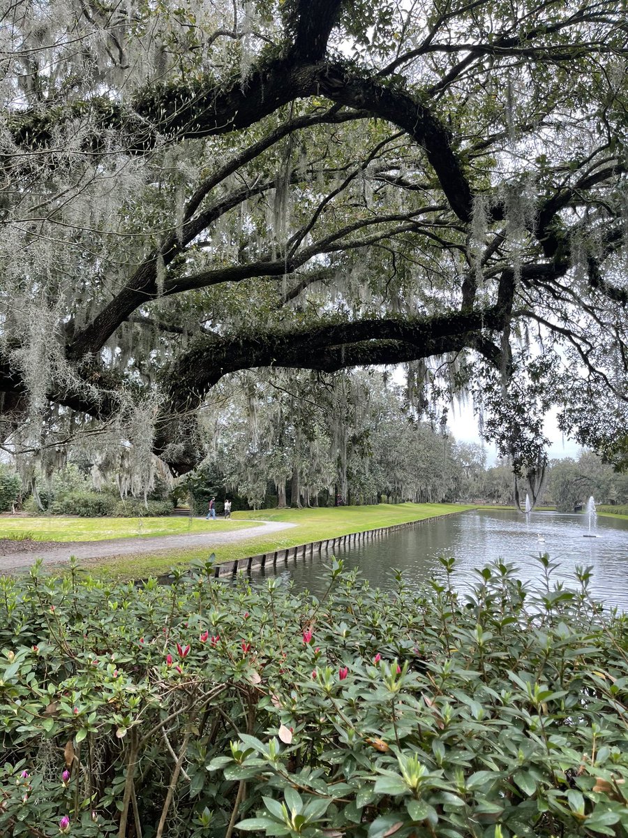 dannyilagan's tweet photo. Yesterday Grace, Aj, and their friend spent the afternoon exploring Middleton Plantation. This is definitely a fun place to visit in the Summerville/Charleston area! #middletonplace #explore #adventure #explorecharleston #exploresummerville #southcarolina #plantation #nature https://t.co/V6znTxmNpD
