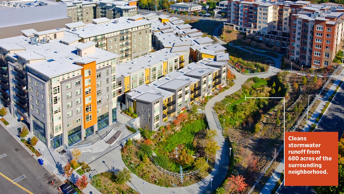 NationalASLA's tweet photo. In Seattle, Washington, MIG designed a new water quality channel to clean stormwater runoff from 680 surrounding acres before the water flows into the South Fork of the salmon-bearing Thornton Creek. 
 https://t.co/CxJQK98aEn #ASLAClimate https://t.co/EhZUKT6onE