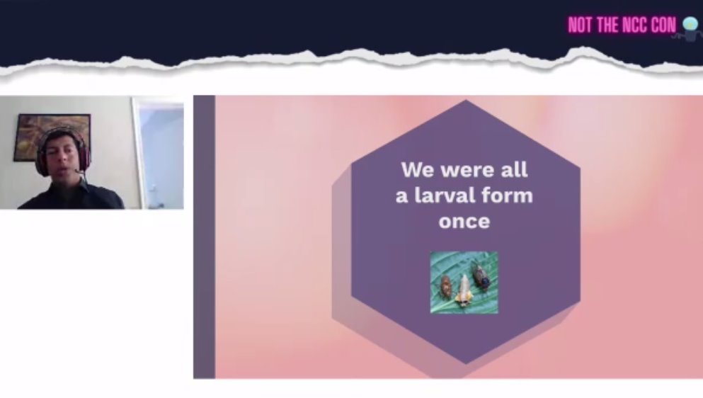 ollieatnowhere's tweet photo. The @daveaitel did a most excellent keynote at @NCCGroupInfosec 's internal 2021 conference... it was the full Aitel experience and more... every conference should have such challenge on how we can all be better at what we do… https://t.co/YDvuobdTEl