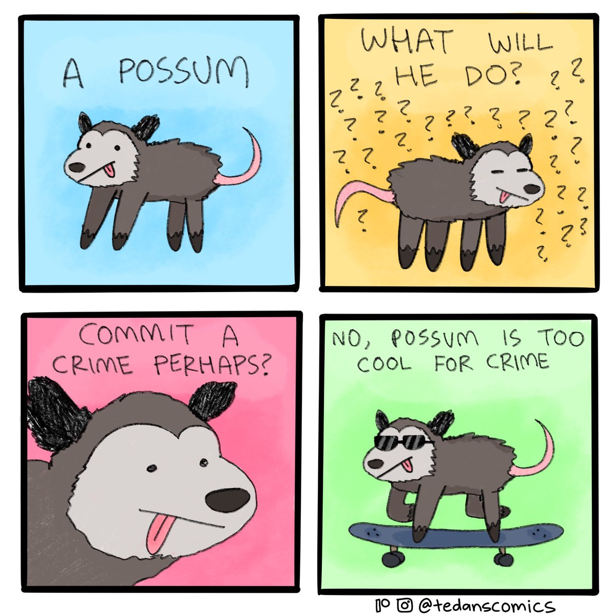 tedanscomics's tweet photo. Possum https://t.co/qjNqXhSsbr
