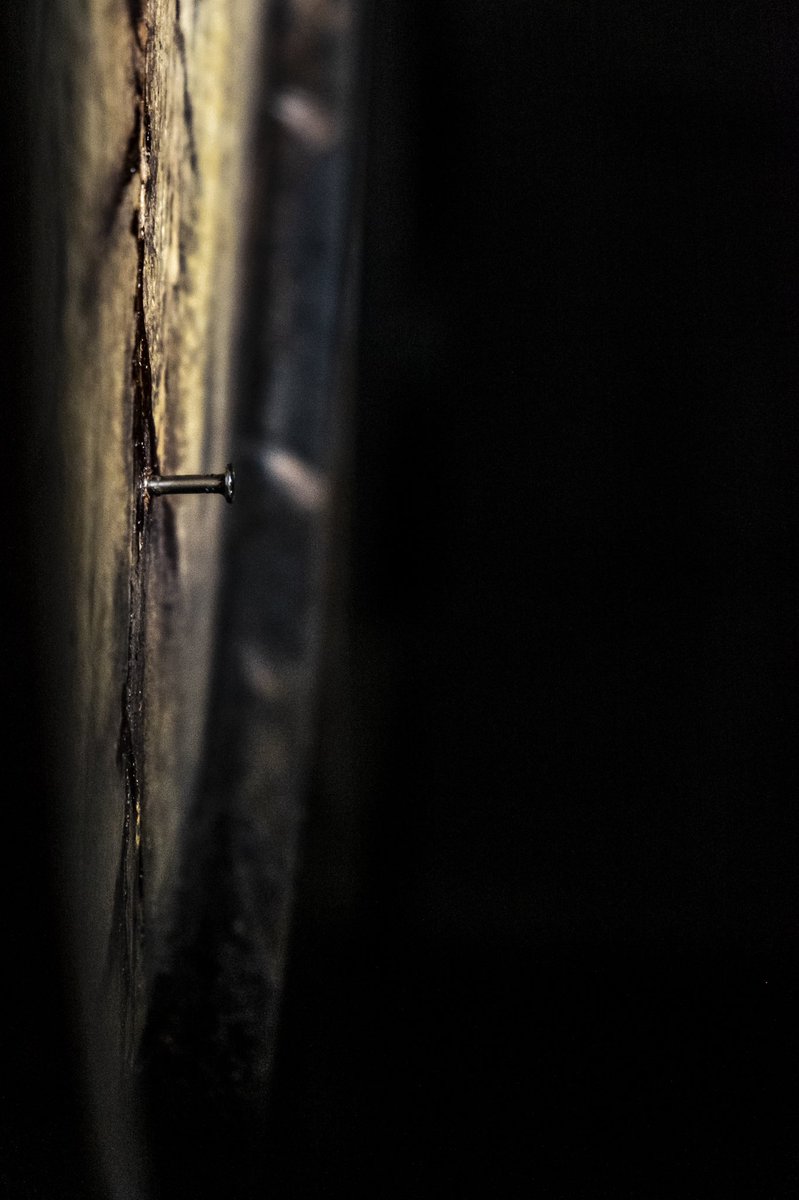 There’s beauty everywhere we look, we just have to know how to see it. Where have you recently found something beautiful in the mundane?