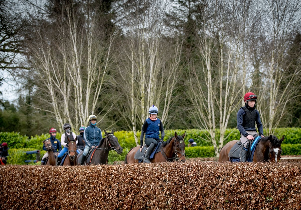 Fairyhouse's tweet photo. πΈ Gorgeous photos taken by @MorganTreacy @Inphosports this morning @tuvastables for the announcement of the @BoyleSports Irish Grand National weights which were revealed today π€©
#2weekstogo #BoylesIGN https://t.co/WIMnSNe16W