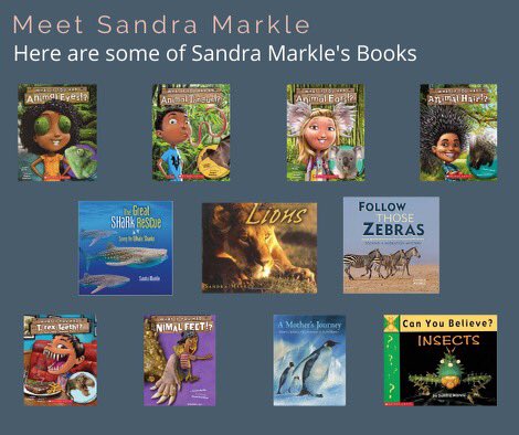 Plymell Panthers (@plymellgc) on Twitter photo 