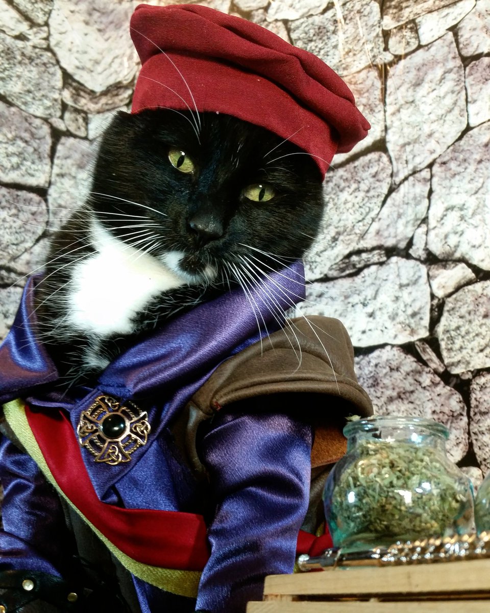 Cat_Cosplay's tweet photo. "Spice?"

#AnythingToGetThroughMonday https://t.co/DxvXzw1FOq