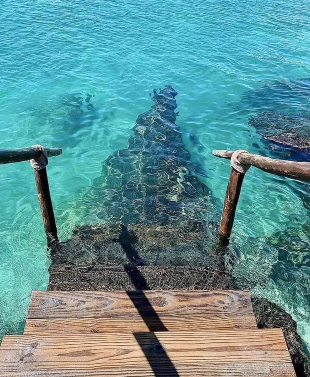 SacbeEcotours's tweet photo. Cuando estás a unos pasos de entrar al paraíso, ahora estas a un paso de reservar tus próximas #ExperienciasSustentables 
Reserva por whatsapp: https://t.co/DvYF2etvBx
#viajerasmexicanas #travelstyle #mexicolindo #mexicotrip https://t.co/JTdutWDyIZ