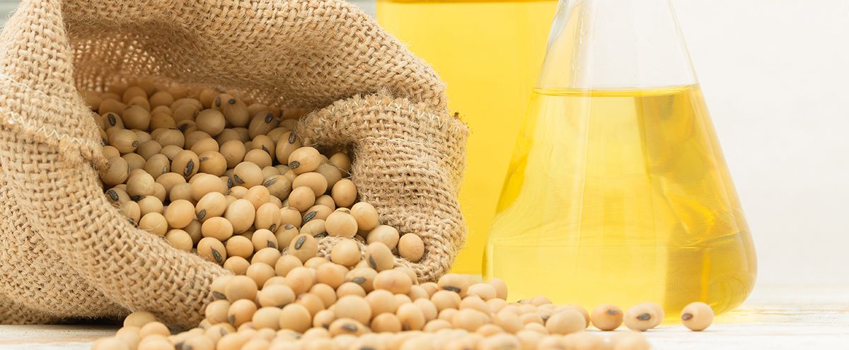 CorpAnderson's tweet image. In the oilseed process industry, dehulling is a valuable tool. Dig in deeper to learn why you should be analyzing your process: buff.ly/3kAcBZR

#oilseedprocessing #oilseed #soybeans #soybeanoil
