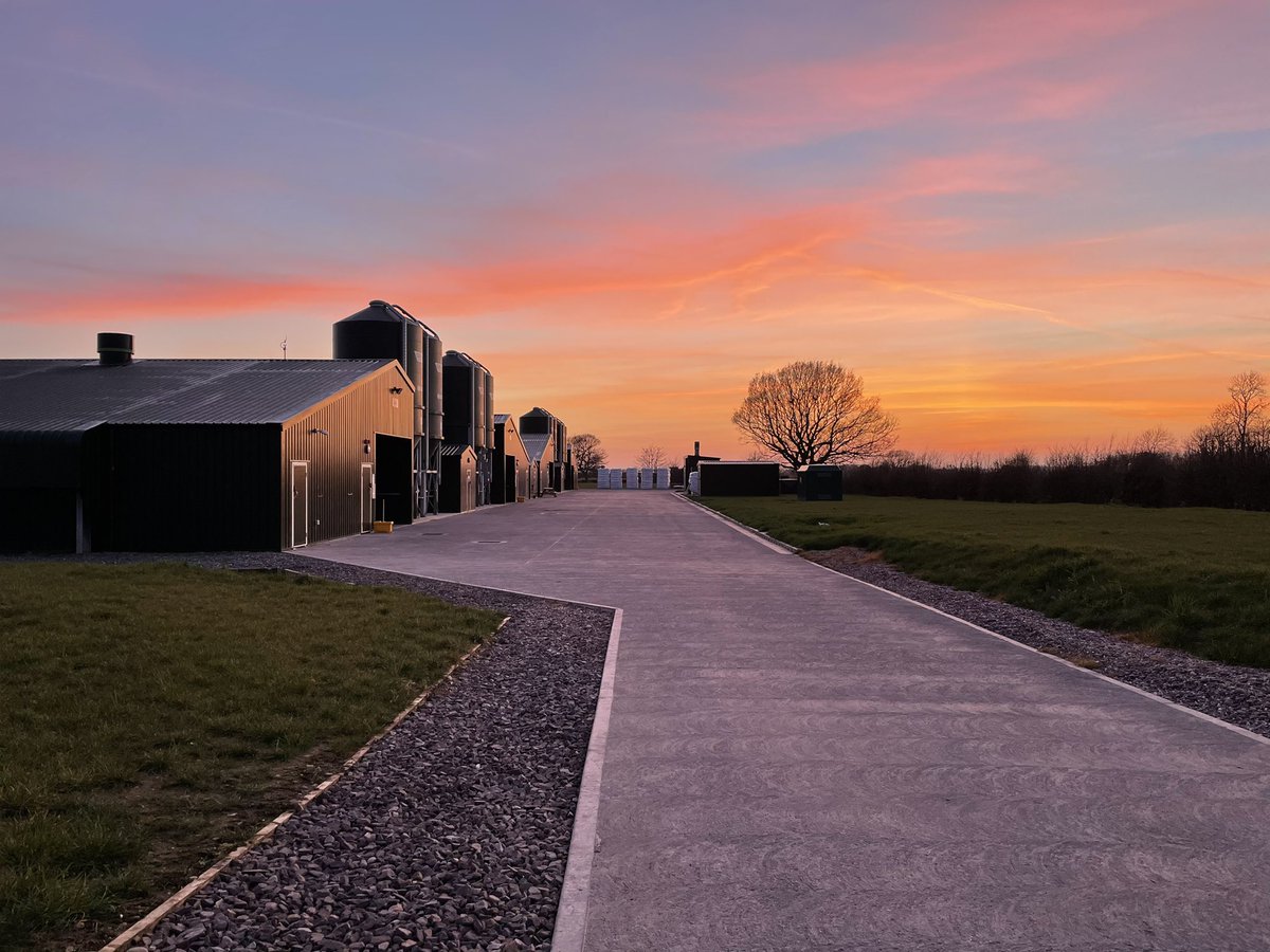 Elms__Farm's tweet image. Lovely sunset over Elms Farm tonight!!