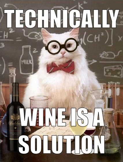 vmoorecan's tweet photo. @lesliefisher @mtholfsen @justinchando @AdamShortShorts Looking forward to it🍷🍫 Chocolate is my favourite vegetable and I feel like wine is a necessity on Friday evening😻 https://t.co/GSNE6rdQ98